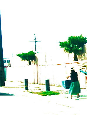 The Gatherers