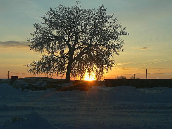 Sunrise