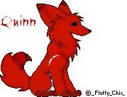 Quinn