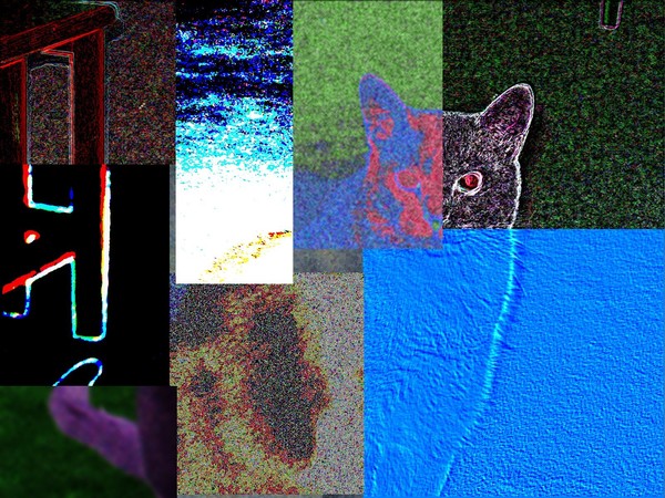 Abstract Cat