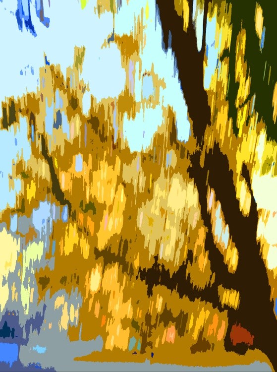 November’s Gold