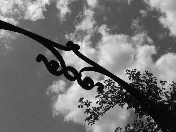 Iron Sky