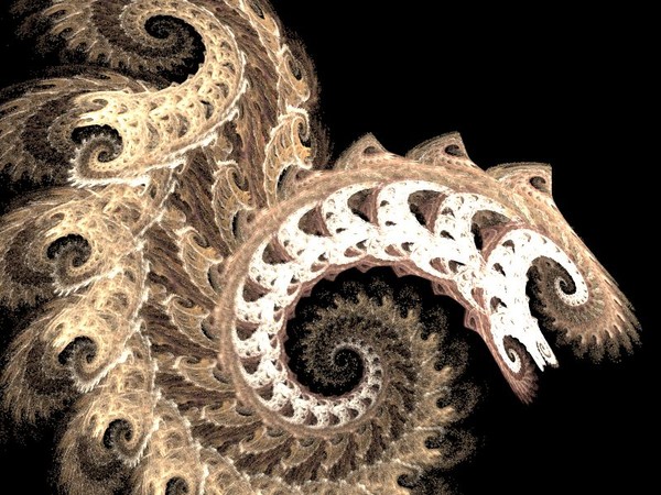 Fossilized