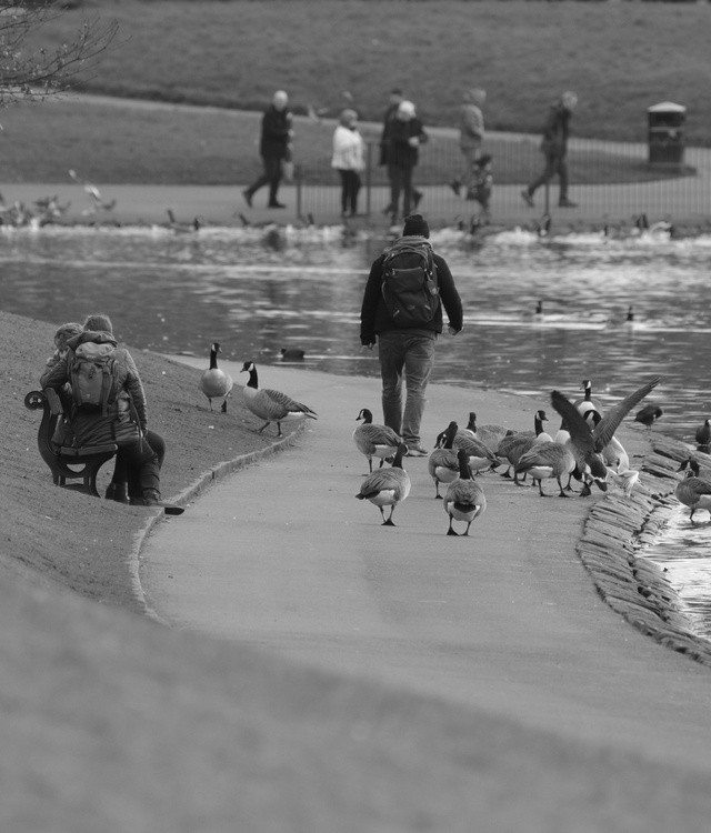 Going Round The Bend