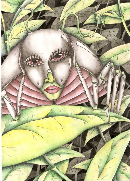 Bored Bug