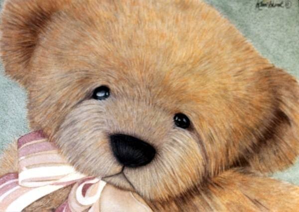 Realistic Teddy Bear Stock Photos, Images and Backgrounds for Free Download