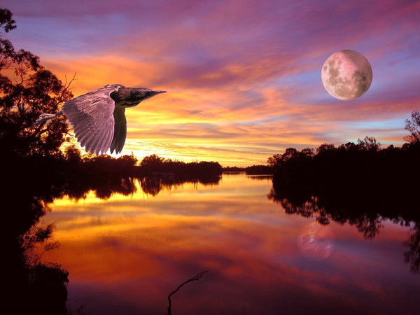 Sunrise on the Murray