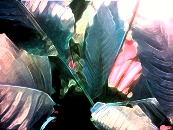MyPlant