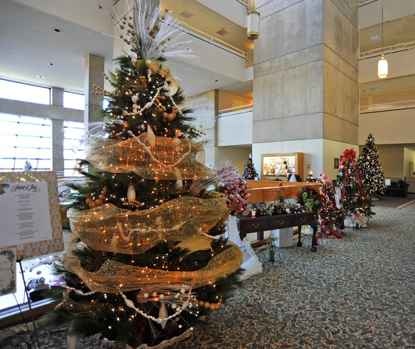 Christmas Trees at Cokebury