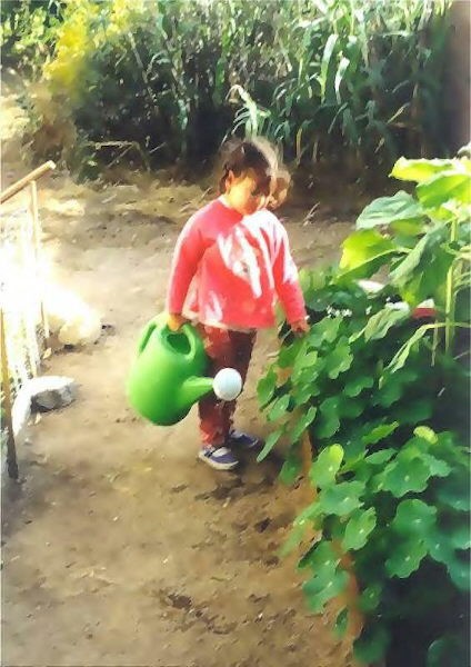 Gardening