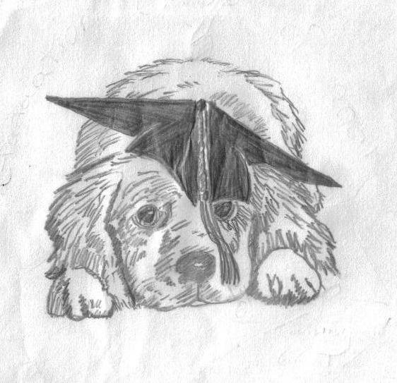 Doggy Graduation