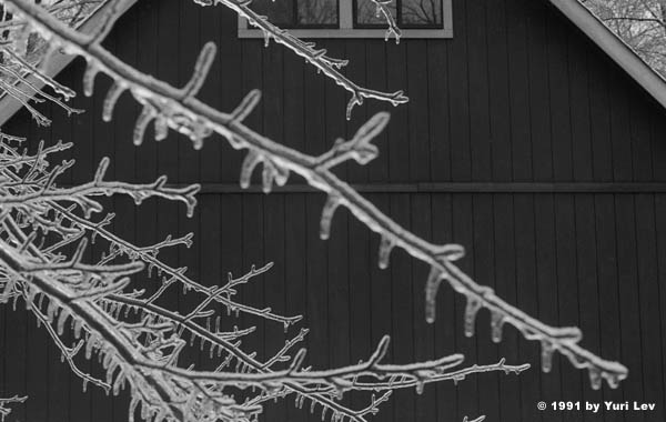 Icicles
