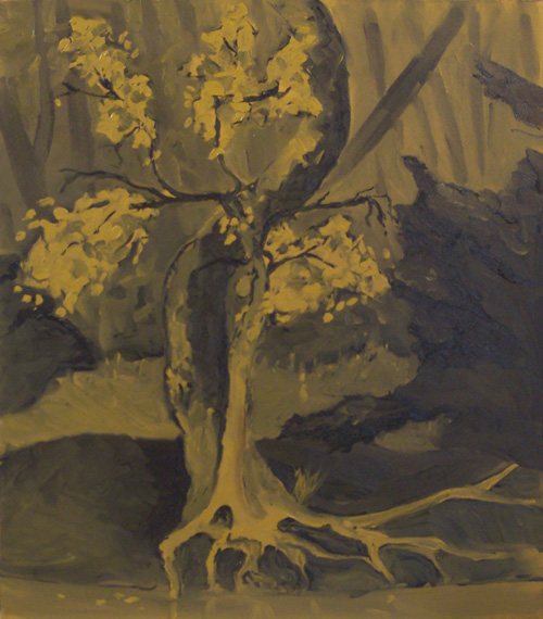 Celtis sucker