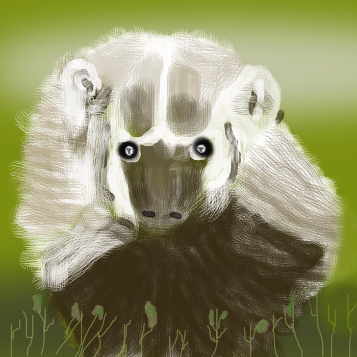 BABY BADGER  O698
