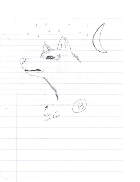 kiba- the lone wolf