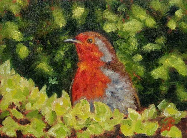Robin in the Ivy