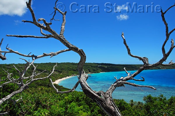 Baie du Santal view with tree