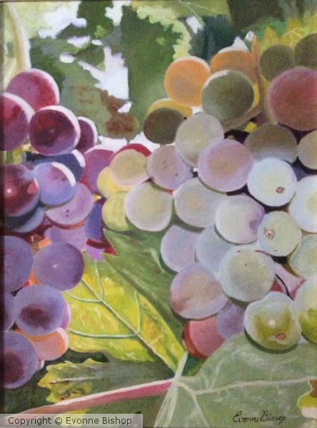 Grape Glory