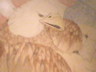 American Eagle
