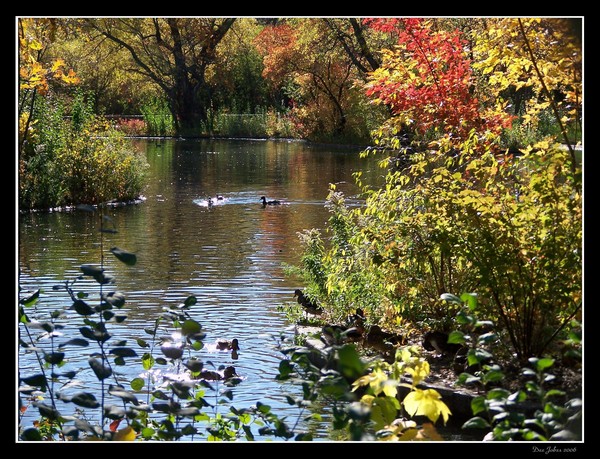 Autumn's Beauty