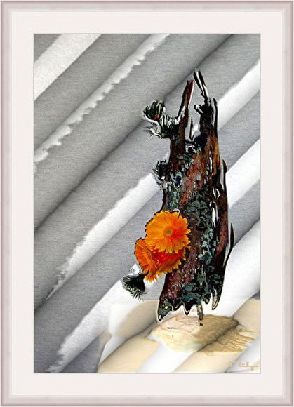 Floral composition 1
