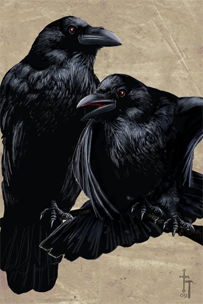 Ravens