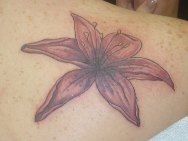 lily