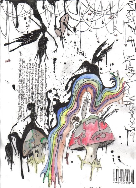 magical world of mushrooms