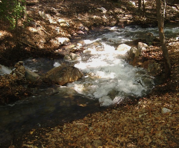 water