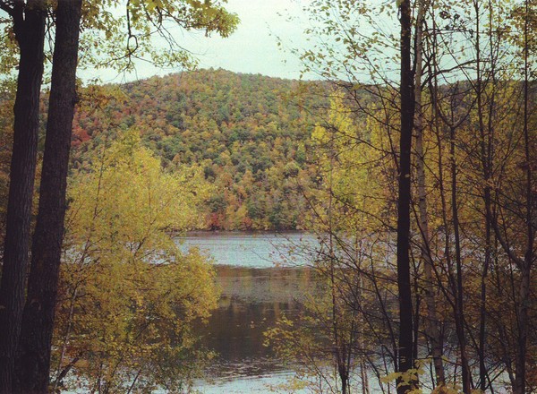 The Country Side