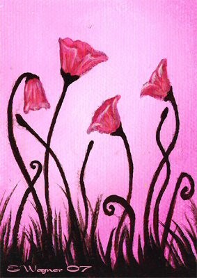 Pink Poppy