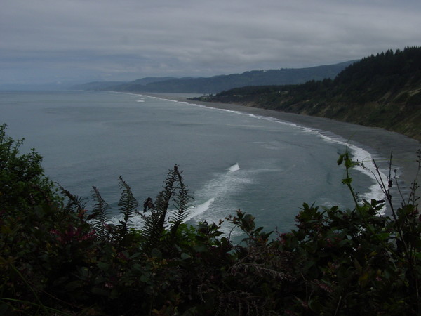 Ocean View