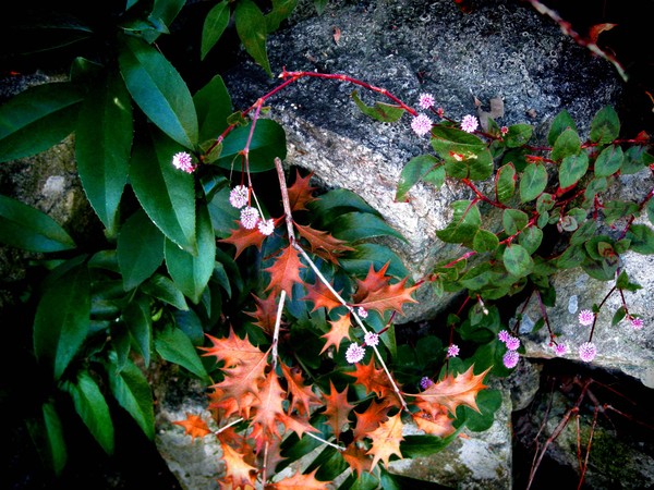 garden3ver1.jpg