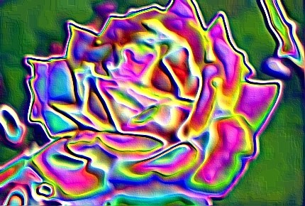 Foil Rose