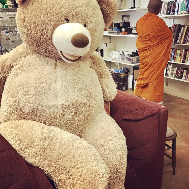 Teddy Bear