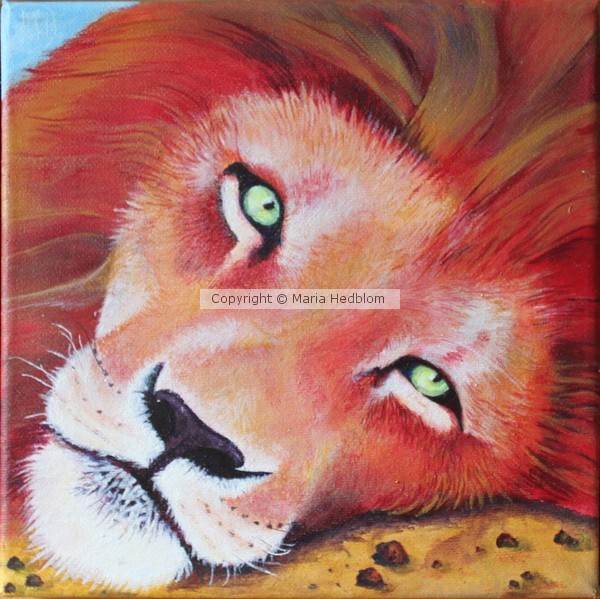 Lion