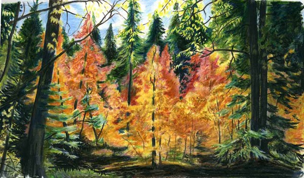 Mt. Lemmon in the Fall