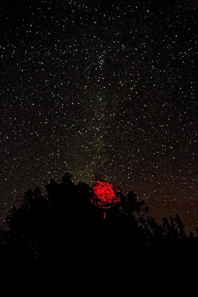 Evening Stars