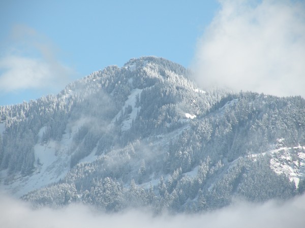 Winters Breath