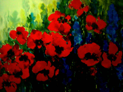 a field of red poppies for Les...