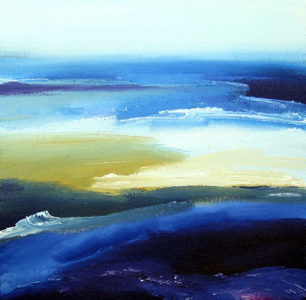 The coast of Zeeland (11)