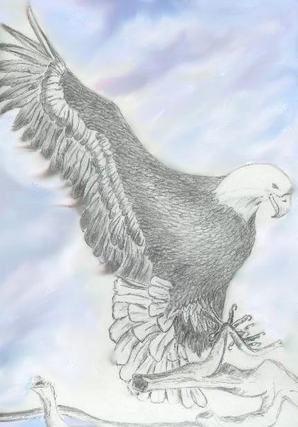 The Eagle has Landed