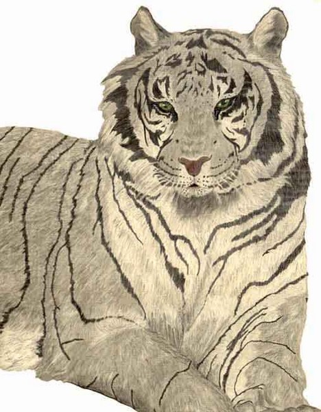 Sher Khan