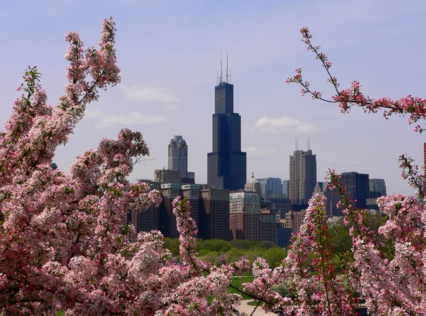 Chicago skyline