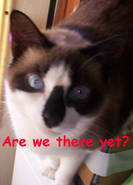 Are we there yet?