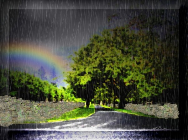 Rainy Day