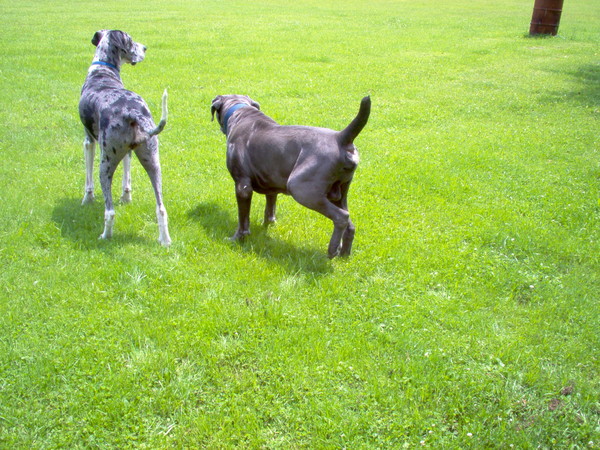 Hurry up we have places to go 