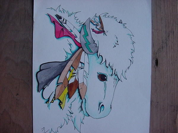 White Buffalo