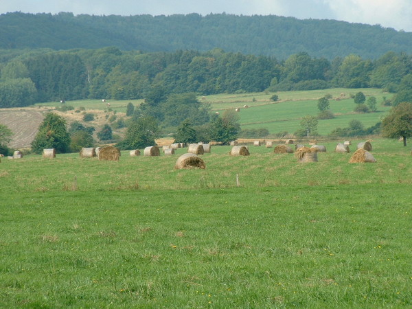 straw balle on countryside
