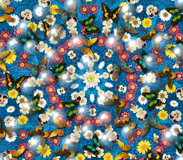 Flower Sparkles and butterflies